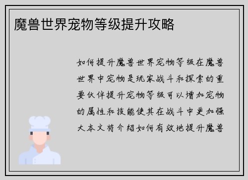 魔兽世界宠物等级提升攻略